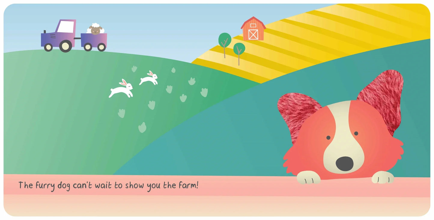 Book Baby's World Touch and Feel Board Book Farm Animals
