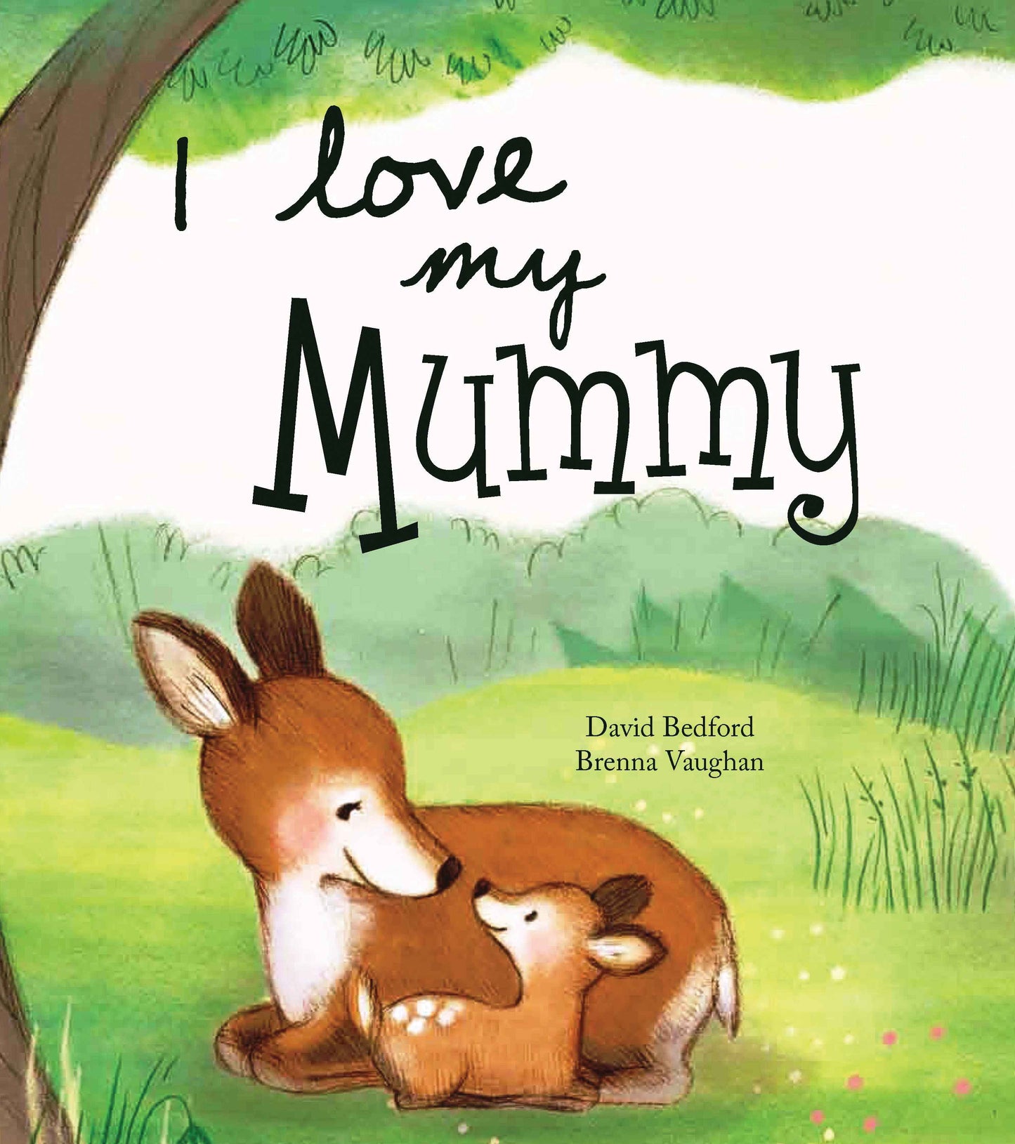 Book I Love My Mummy Picture Book