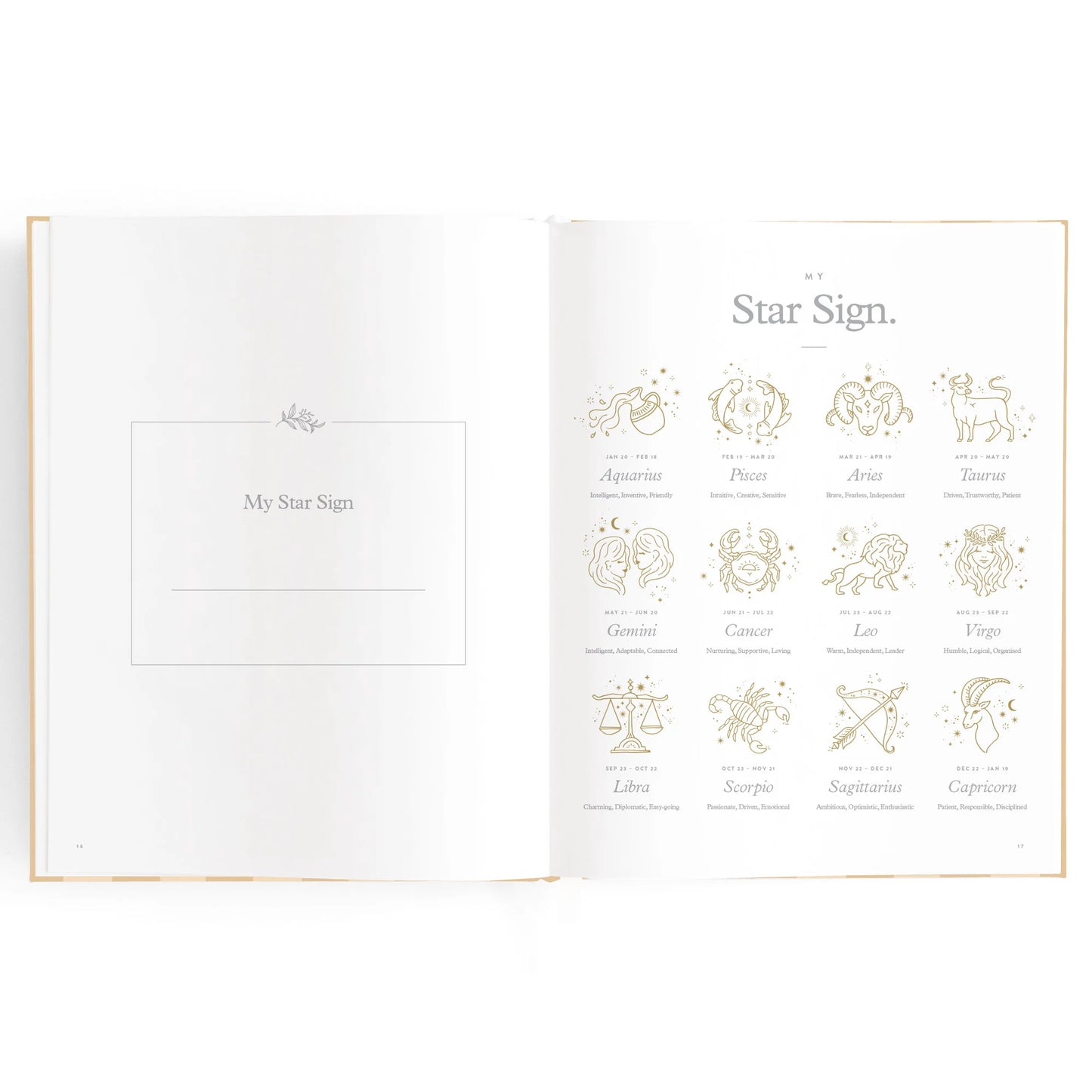 Fox + Fallow Baby Book Coffee Stripe