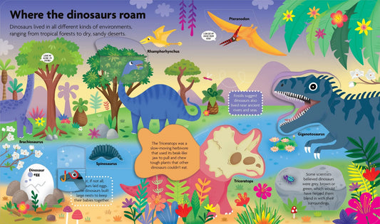Book Fun Facts Lift the Flap Board Book Discover Dinosaurs