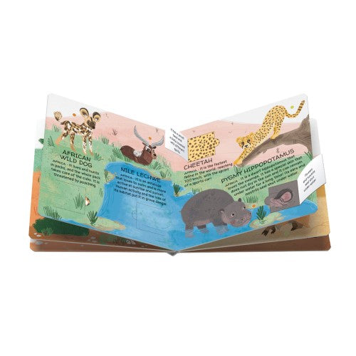 Sassi Game Memory Matching Animals To Save Deserts & Savannahs