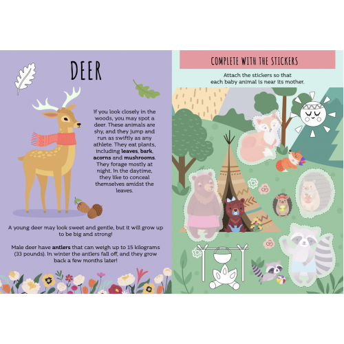 Sassi Stickers and Activities Book The Forest