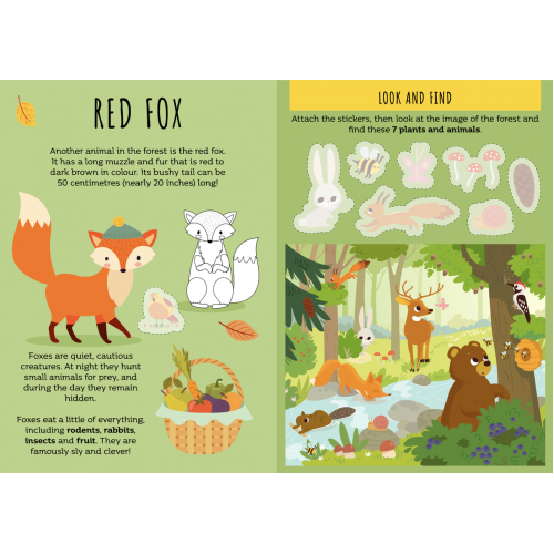 Sassi Stickers and Activities Book The Forest
