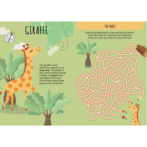 Sassi Stickers and Activities Book The Savannah