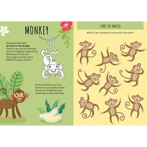 Sassi Stickers and Activities Book The Jungle