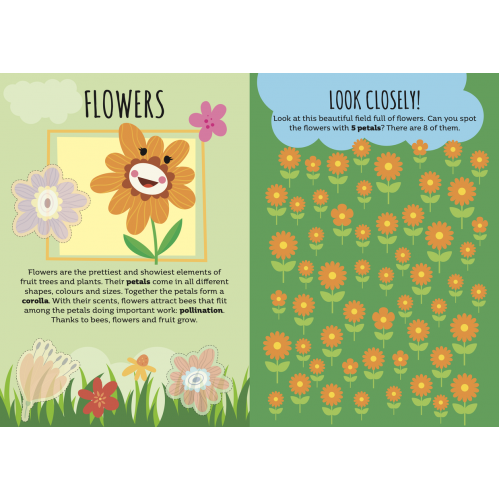 Sassi Stickers and Activities Book Nature