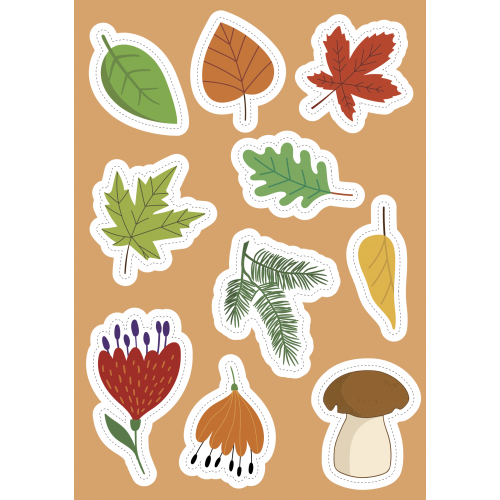 Sassi Stickers and Activities Book Nature