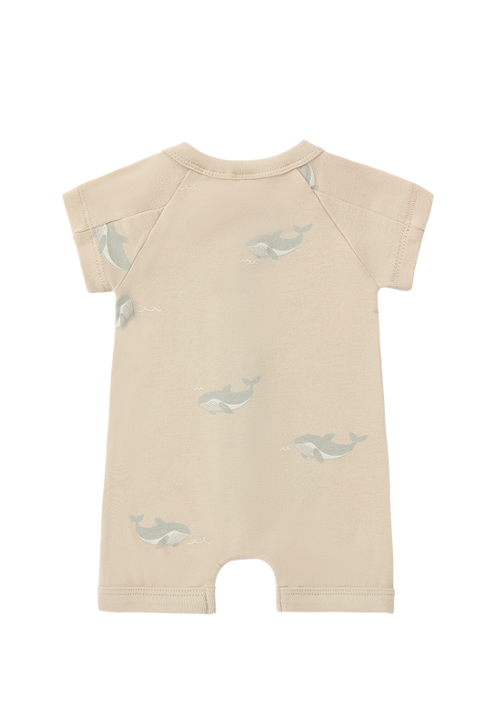 Susukoshi Snap Suit Short Sleeve Whale