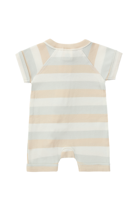 Susukoshi Zip Growsuit Short Sleeve Beach Days