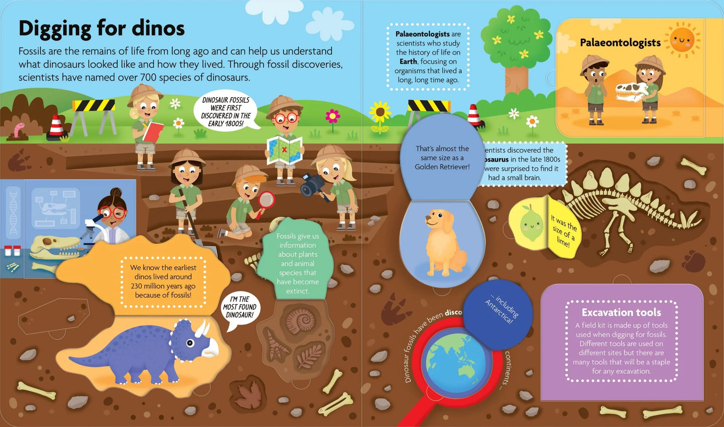 Book Fun Facts Lift the Flap Board Book Discover Dinosaurs