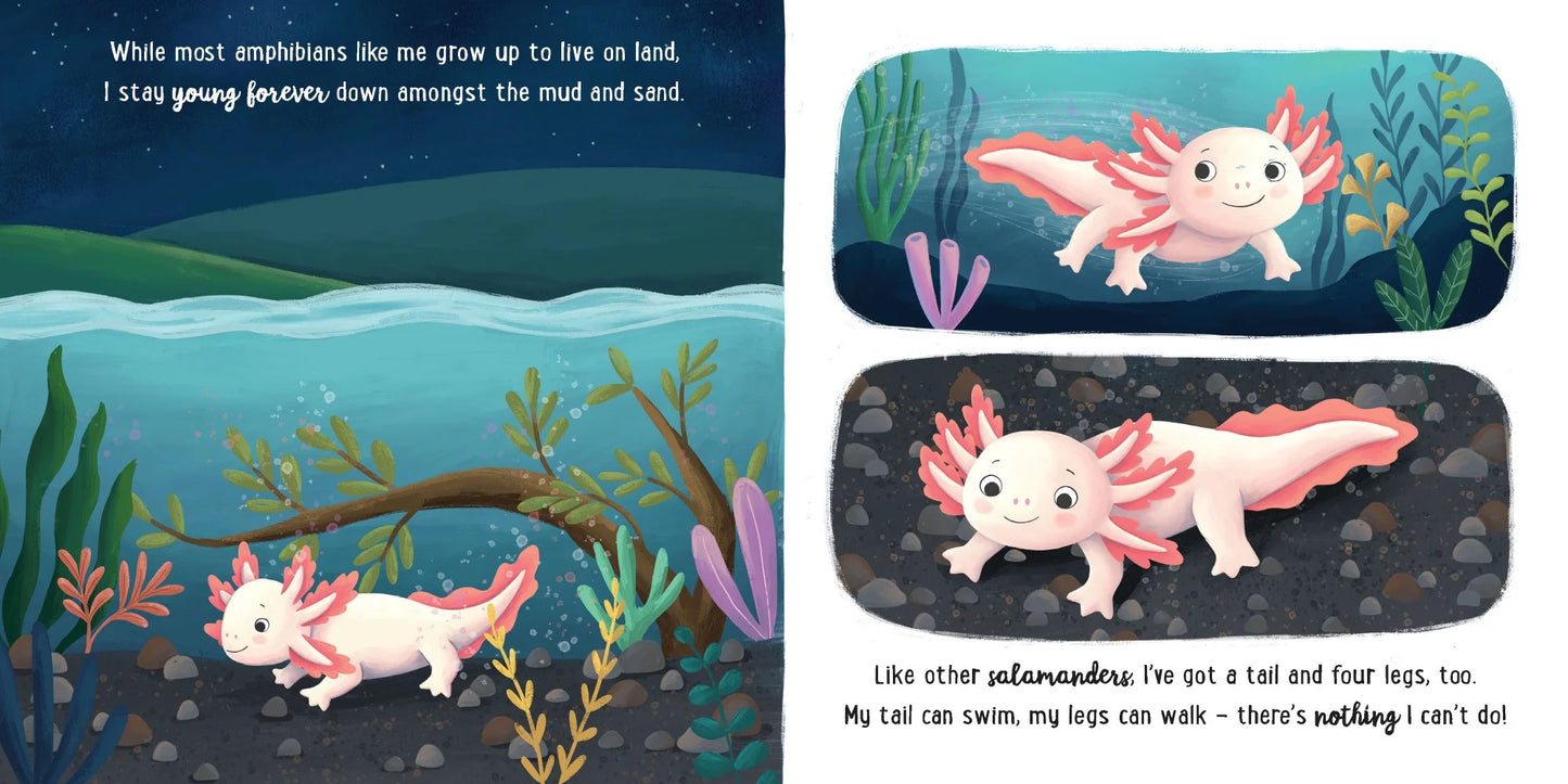 Book Story Time Padded Board Book - I Love Being an Axolotl