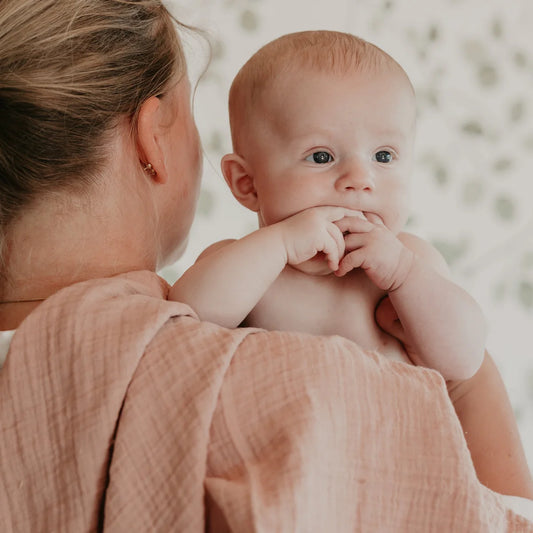 BIBS Dummies Muslin Swaddle Blush