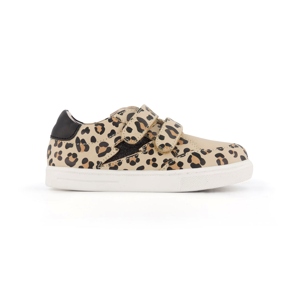 Pretty Brave XO Trainer Leopard
