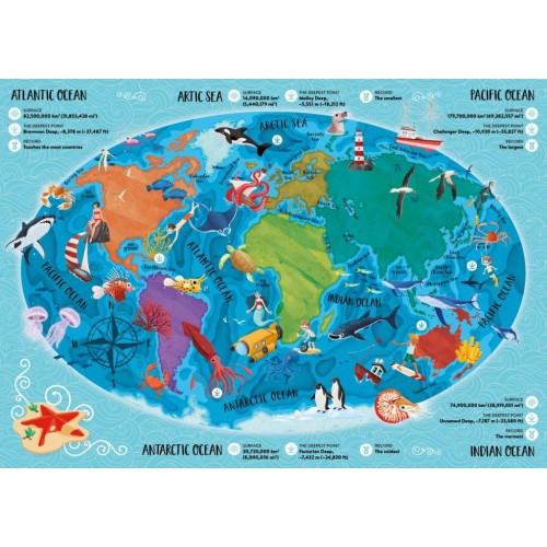 Sassi What How Why the Sea Book and Poster