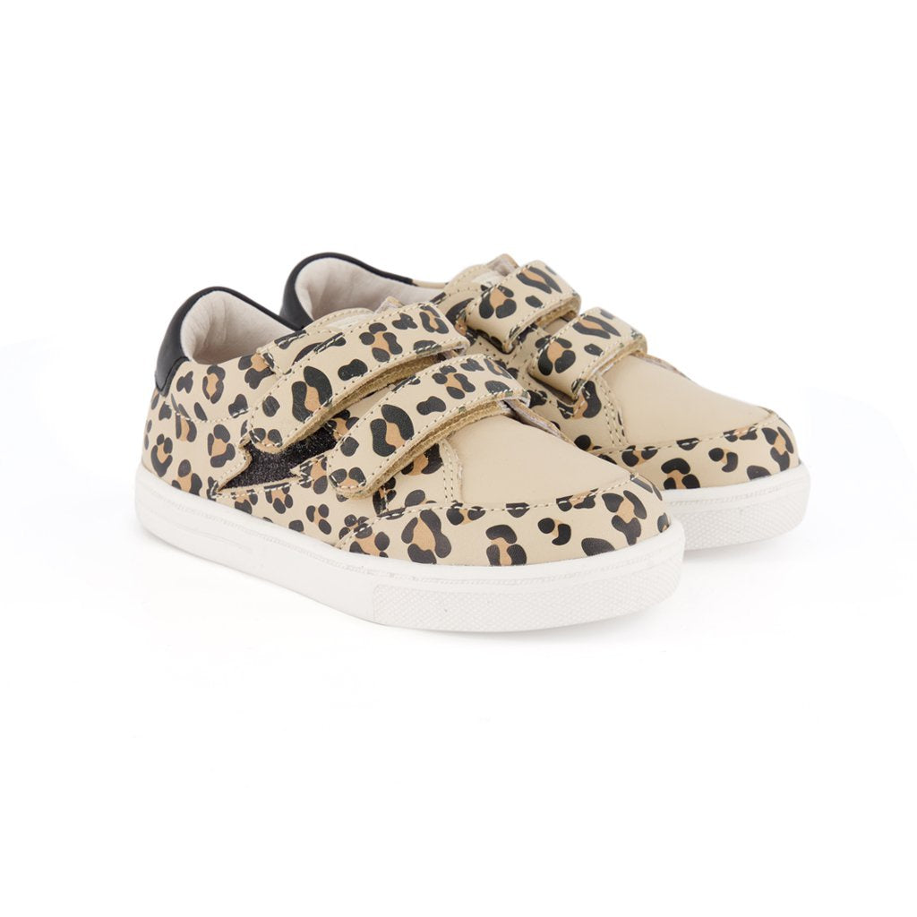 Pretty Brave XO Trainer Leopard