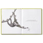Book Being Kind