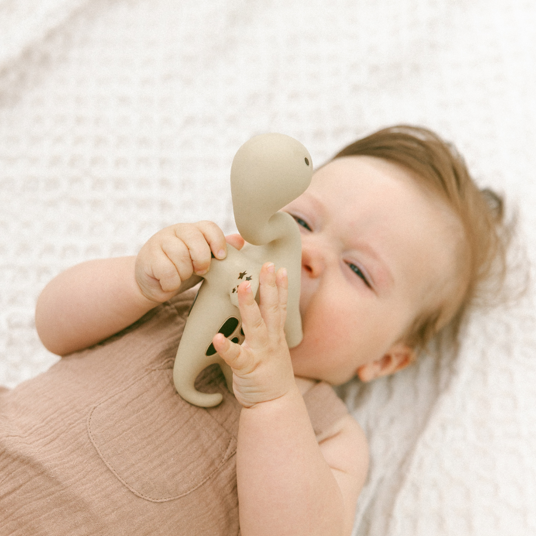 Winnie Parkes Diplo the Dino-Dragon Natural Rubber Teether