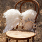 Noralee Angel Wings Ivory Shimmer