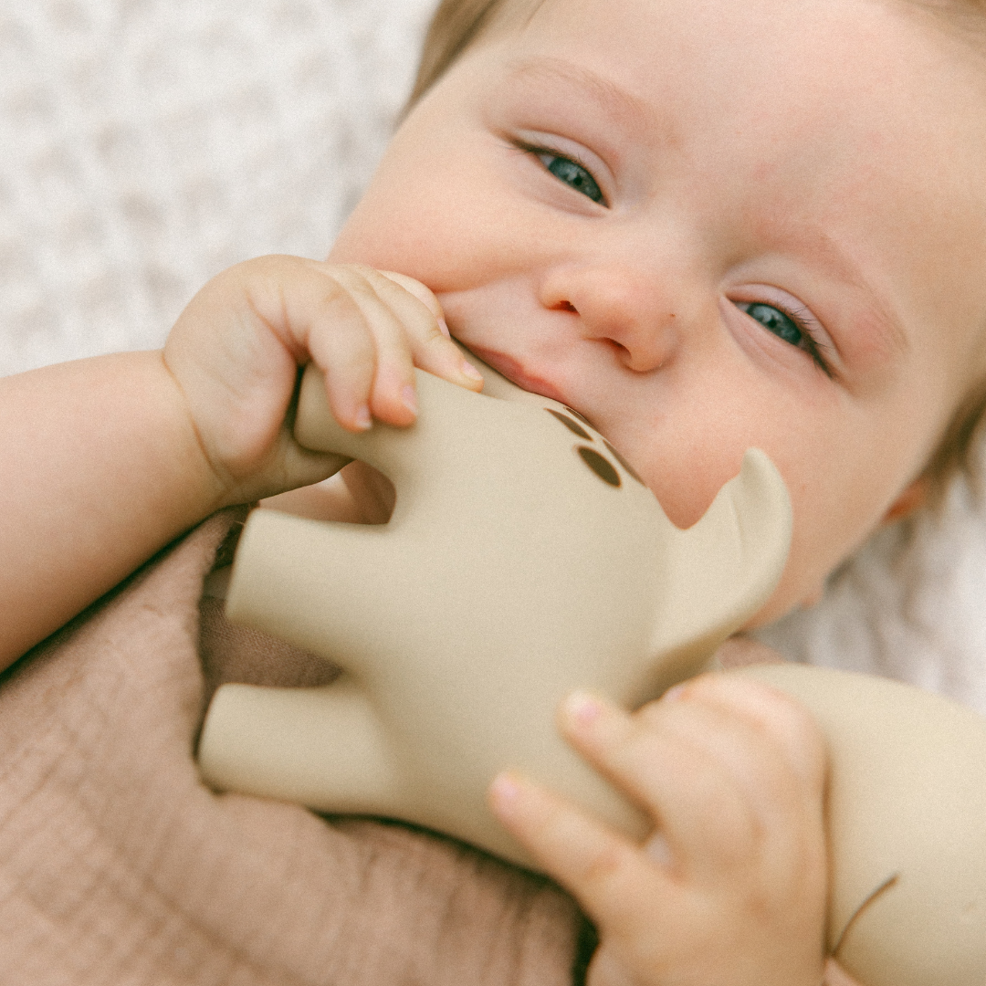 Winnie Parkes Diplo the Dino-Dragon Natural Rubber Teether