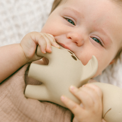 Winnie Parkes Diplo the Dino-Dragon Natural Rubber Teether