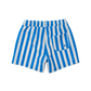 Crywolf Board Short Deep Ocean Stripe