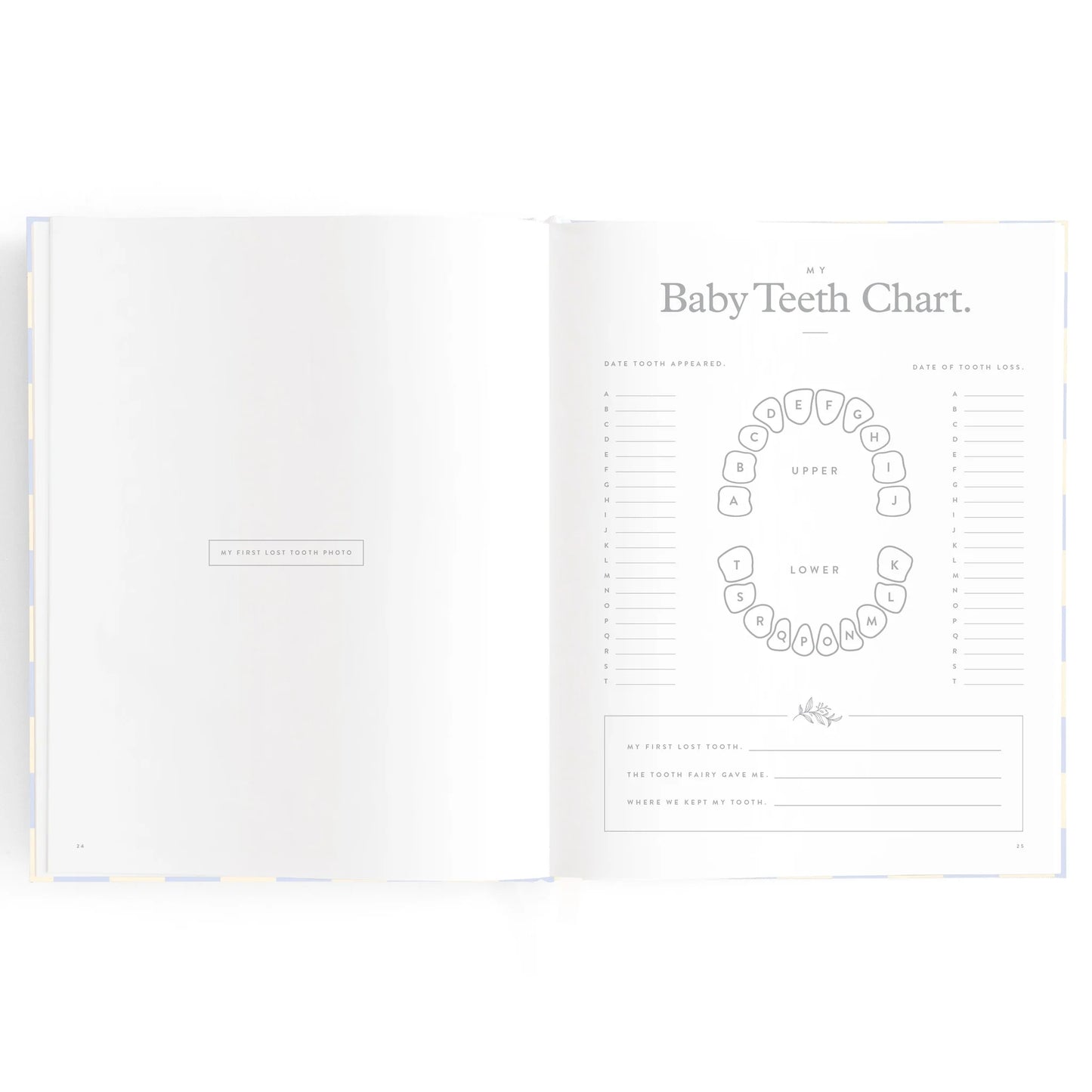 Fox + Fallow Baby Book Pistachio