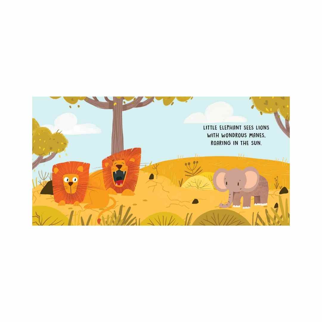 Sassi Board Book Sweet Sounds Stories The Savannah