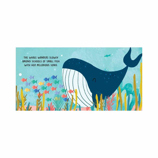 Sassi Board Book Sweet Sounds Stories The Sea