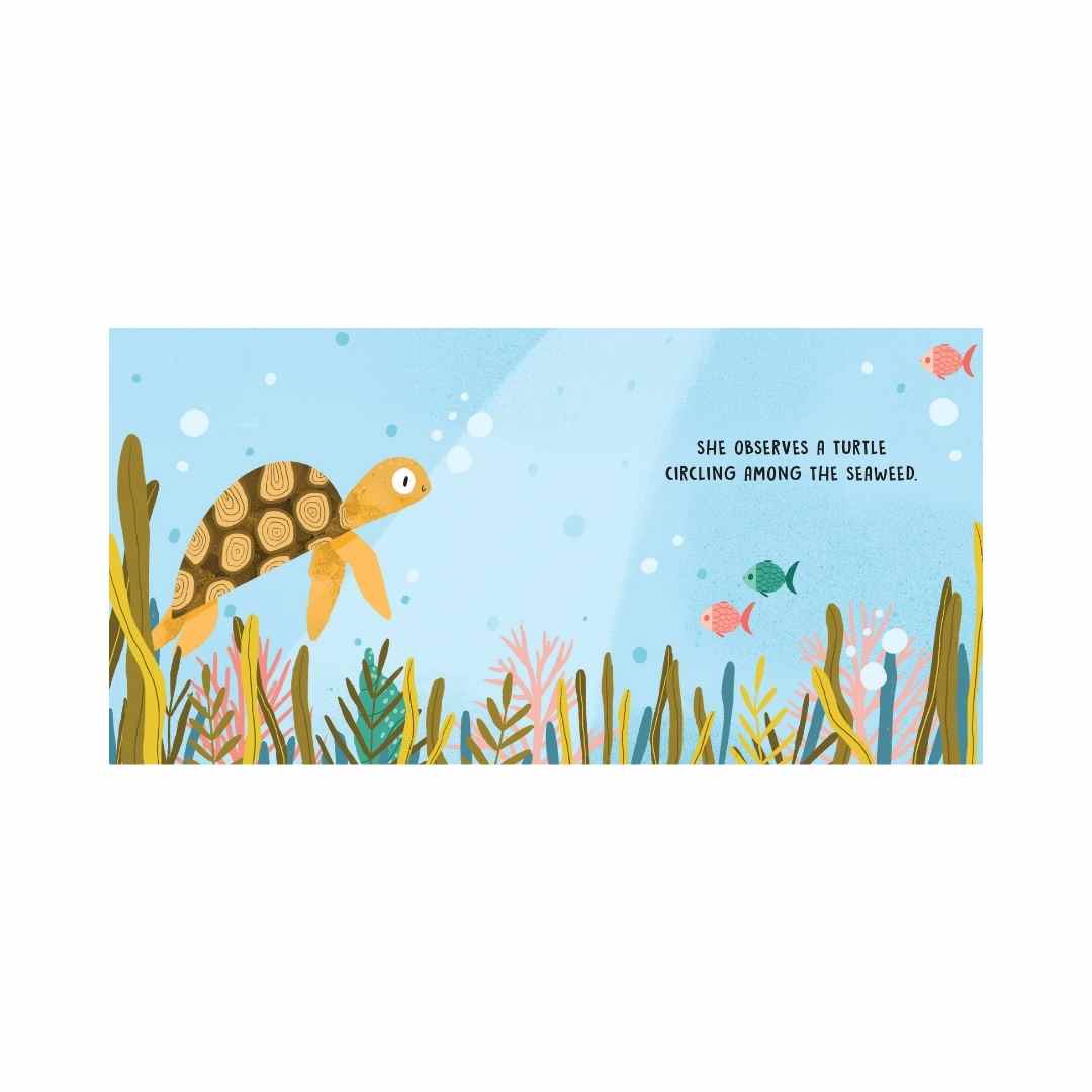 Sassi Board Book Sweet Sounds Stories The Sea