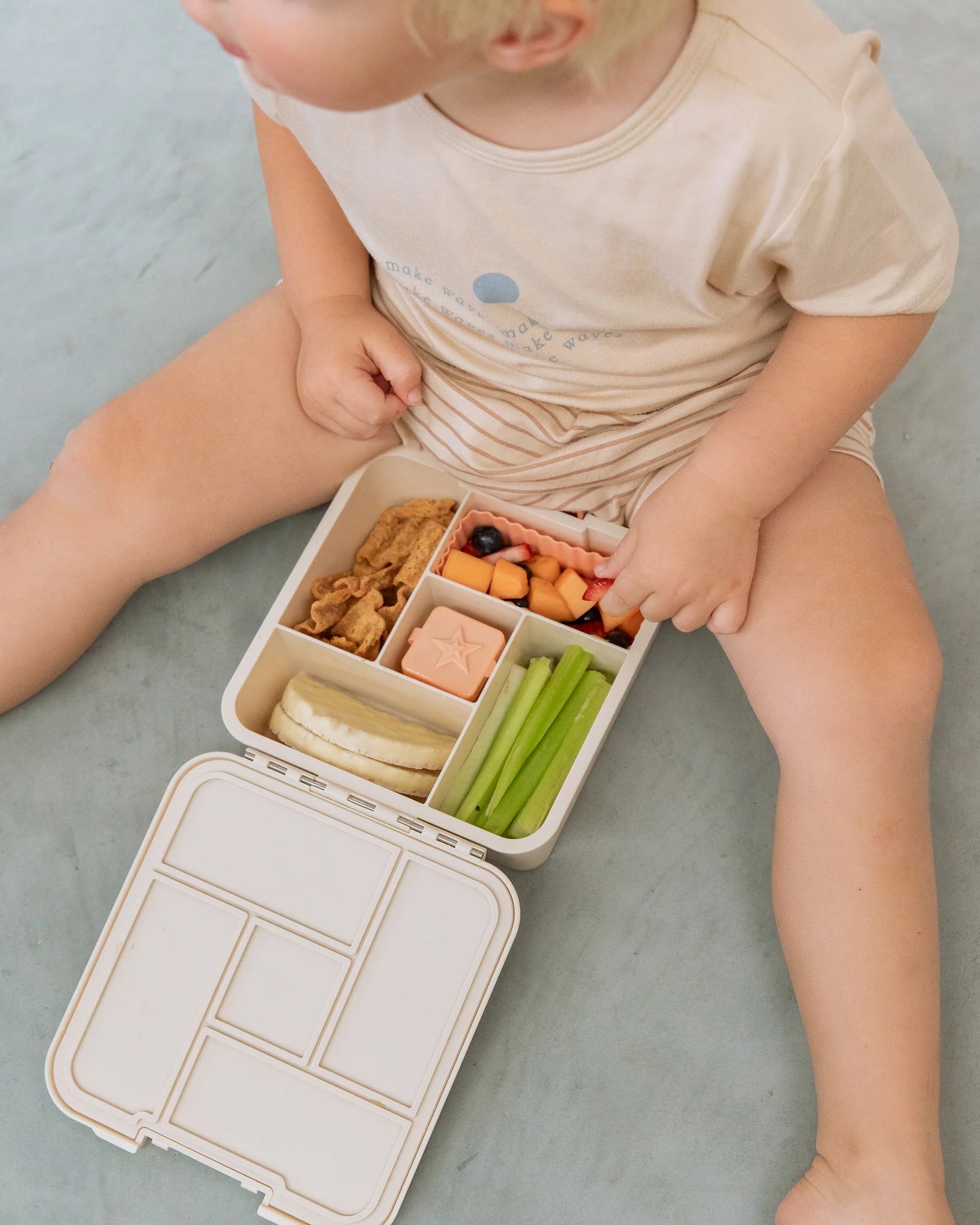 MontiiCo Bento Five Lunch Box Endless Summer