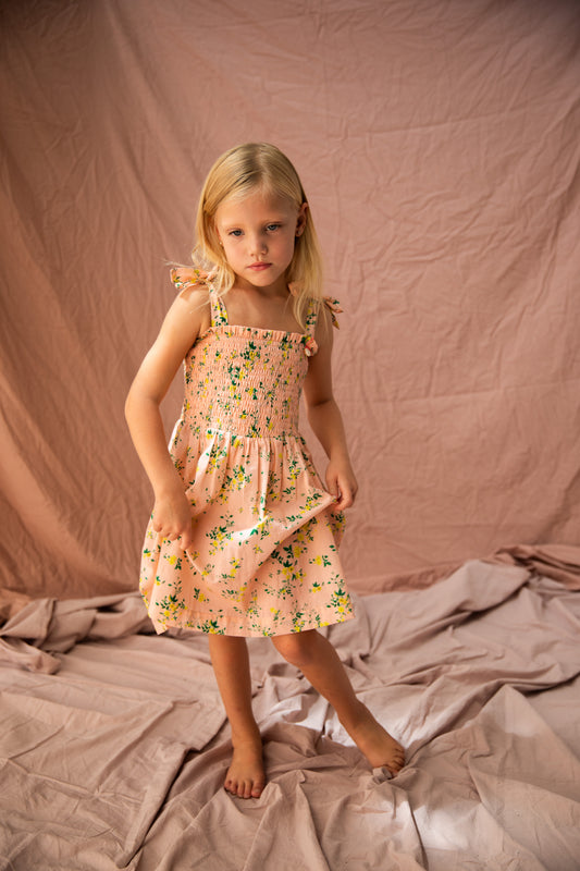 Bella and Lace Nora Dress Picnic Blooms