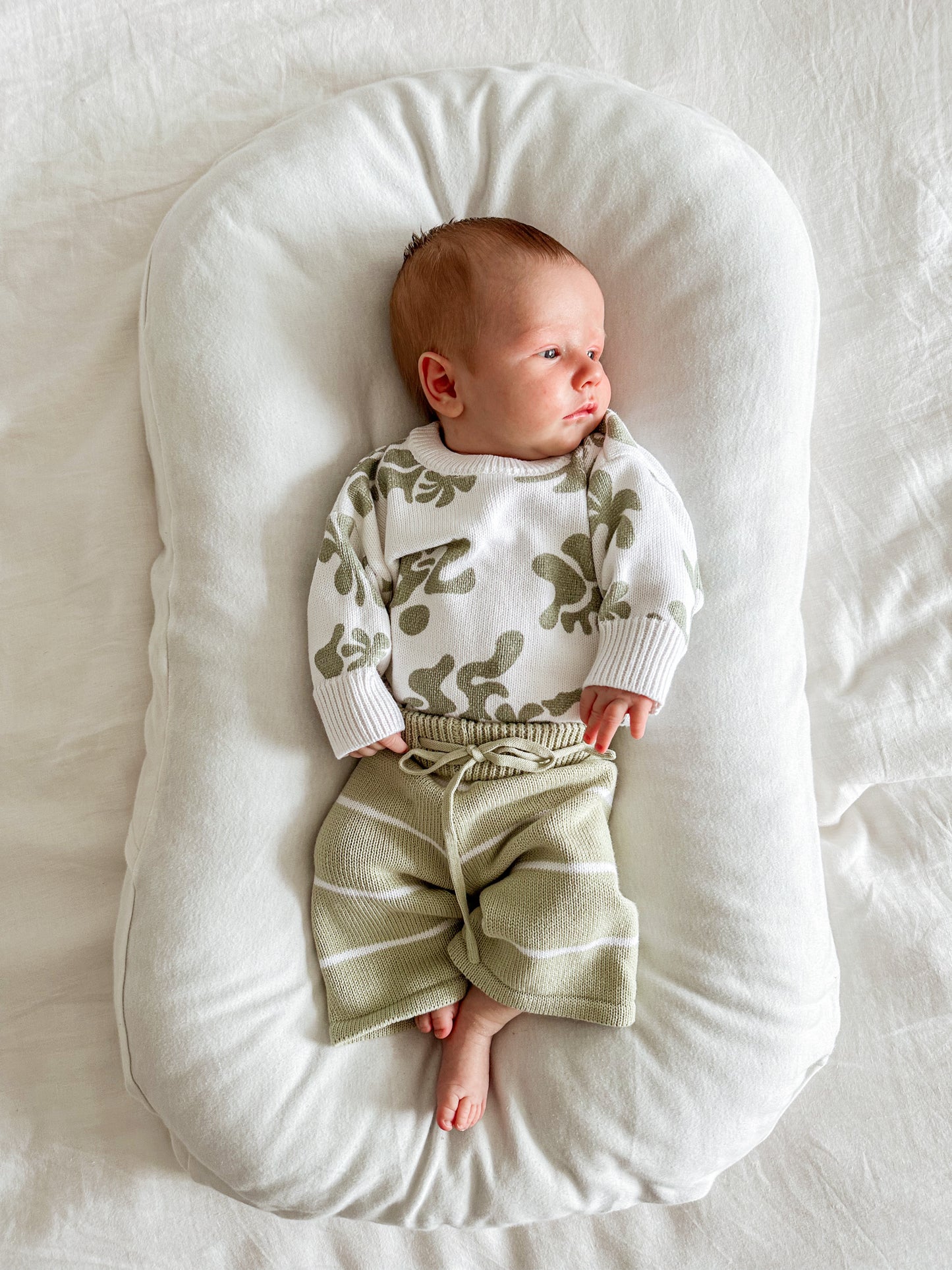 Ziggy Lou Cropped Pants Fern Stripes