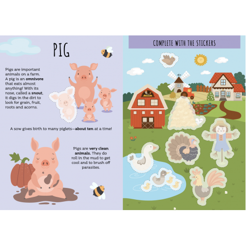 Sassi Stickers and Activities Book The Farm