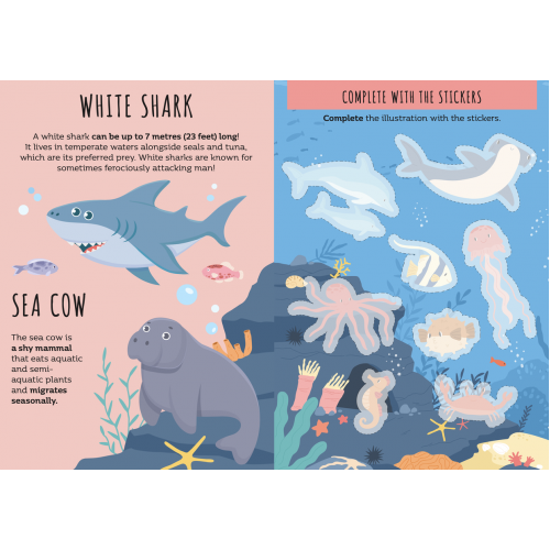 Sassi Stickers and Activities Book The Sea