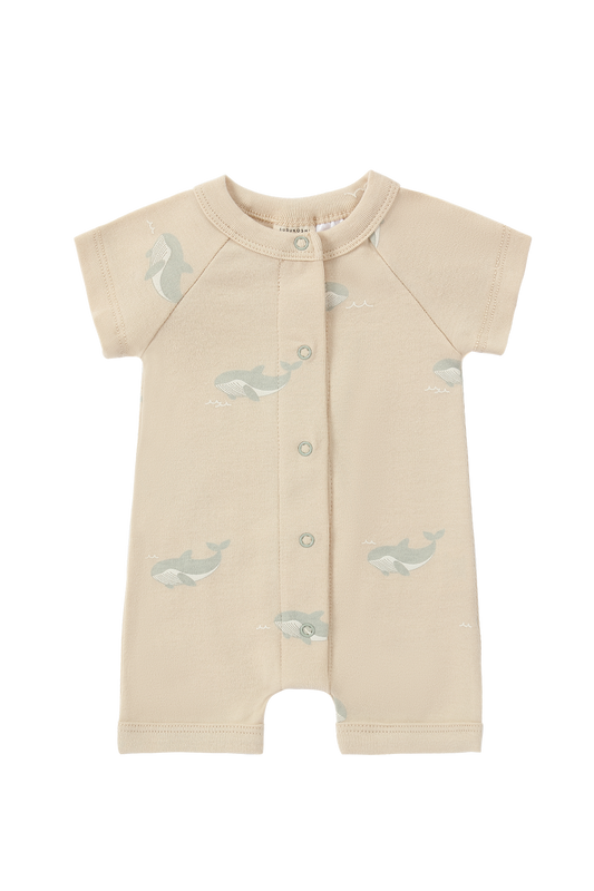 Susukoshi Snap Suit Short Sleeve Whale