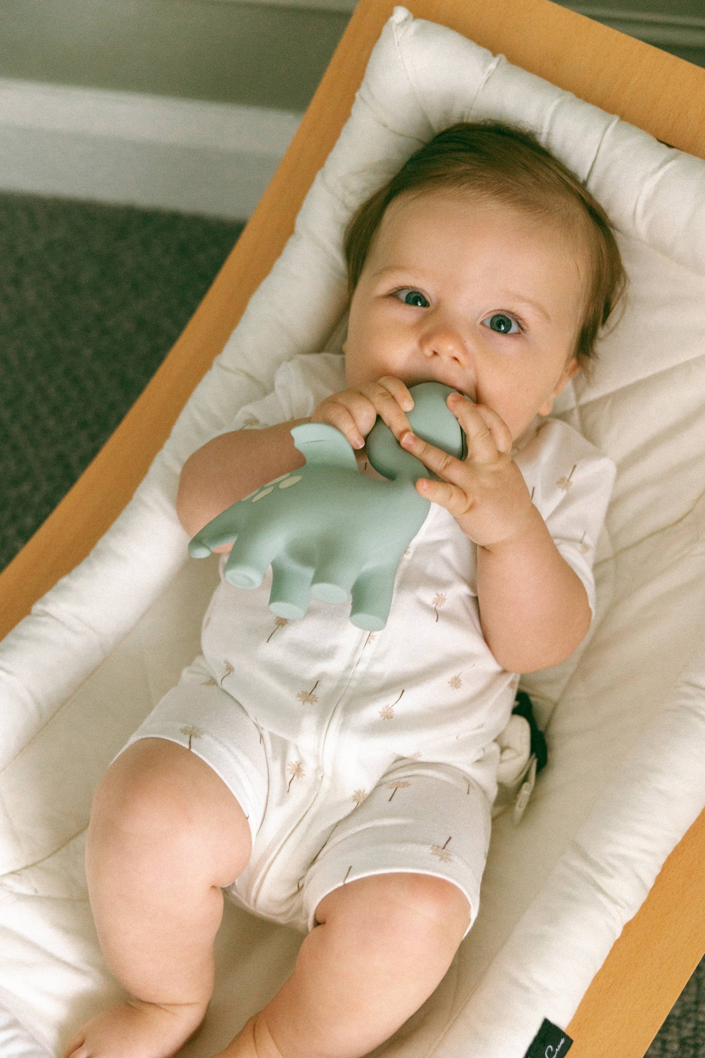 Winnie Parkes Diplo the Dino-Dragon Natural Rubber Teether
