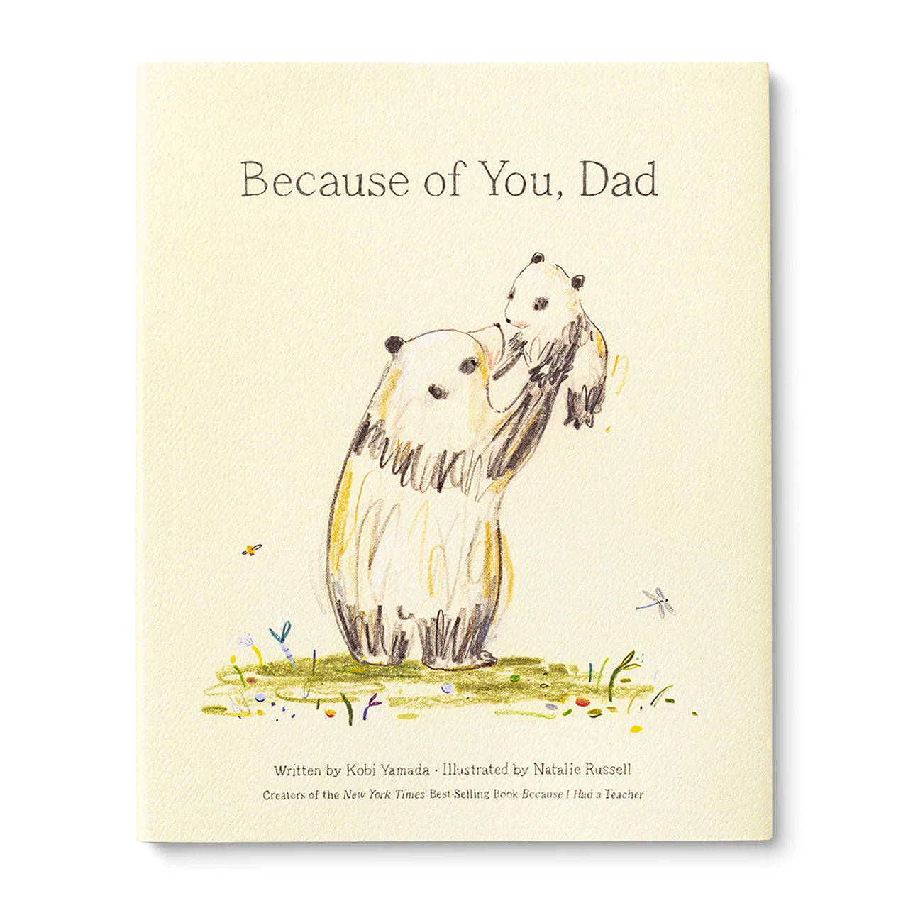 Book Because of You, Dad