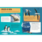 Sassi Save the Planet The Poles Puzzle and Book Set 220 pcs