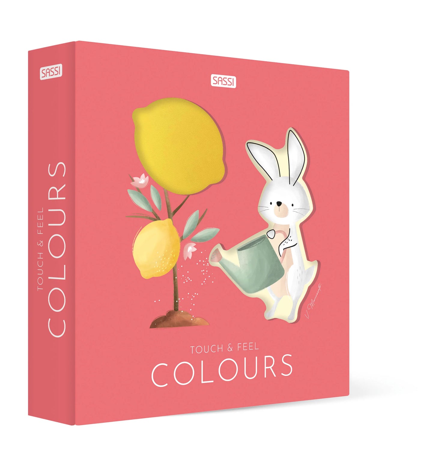 Sassi Touch and Feel Colours book