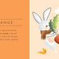 Sassi Touch and Feel Colours book