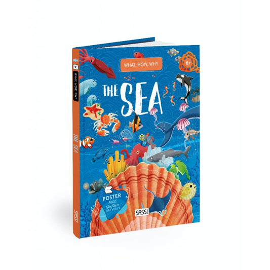 Sassi What How Why the Sea Book and Poster